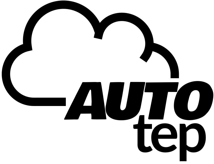 AUTO Transport Execution Platform 